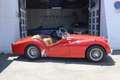 Triumph TR 3A Rouge - thumbnail 5