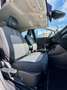 Ford Puma Titanium X - Bu.O - FahrerassP. - Winterpaket Silber - thumbnail 18