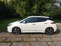 Nissan Leaf e+ Acenta 62kWh Bianco - thumbnail 7