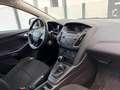 Ford Focus Ford Focus 1,5 TDCi Trend Grau - thumbnail 6