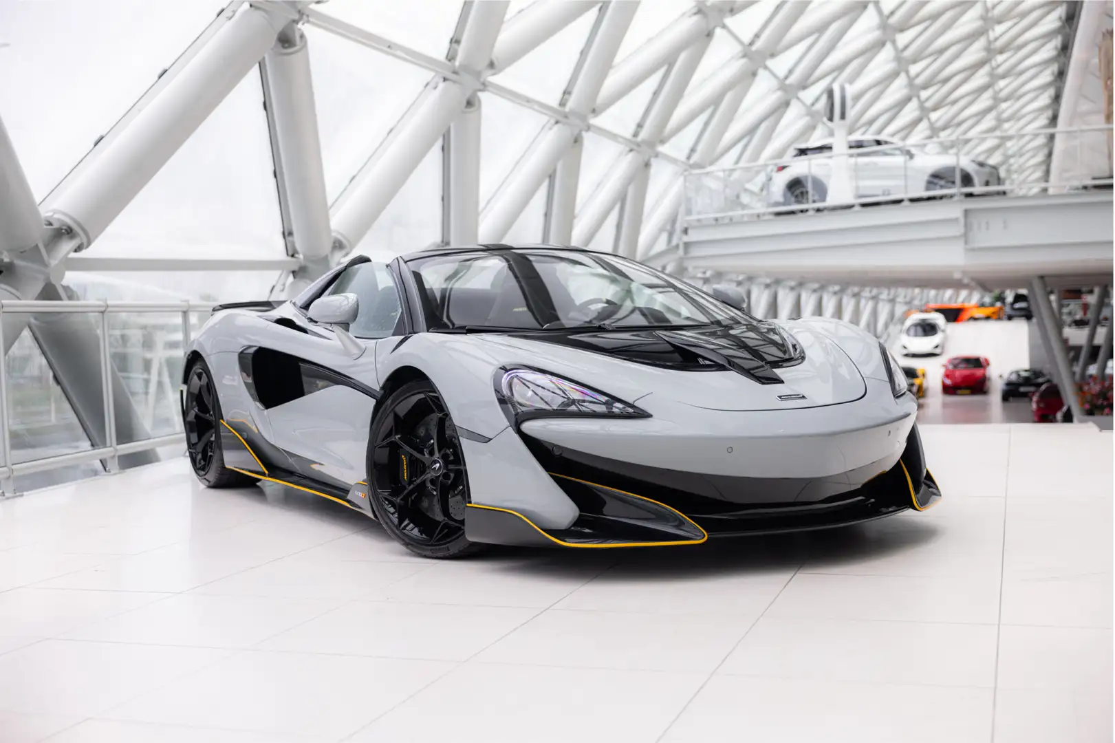 McLaren 600LT Spider 3.8 V8 | MSO Dove Grey | MSO BP | Novitec | Grau - 1