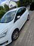 Ford C-Max 1.0 EcoBoost Start-Stopp-System Titanium - thumbnail 3