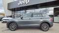 Volkswagen Tiguan 2,0 TDI SCR 4Motion Comfortline DSG Grau - thumbnail 3