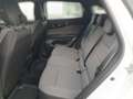 Renault Austral AUSTRAL Evolution Mild Hybrid 160 Automatik Weiß - thumbnail 8
