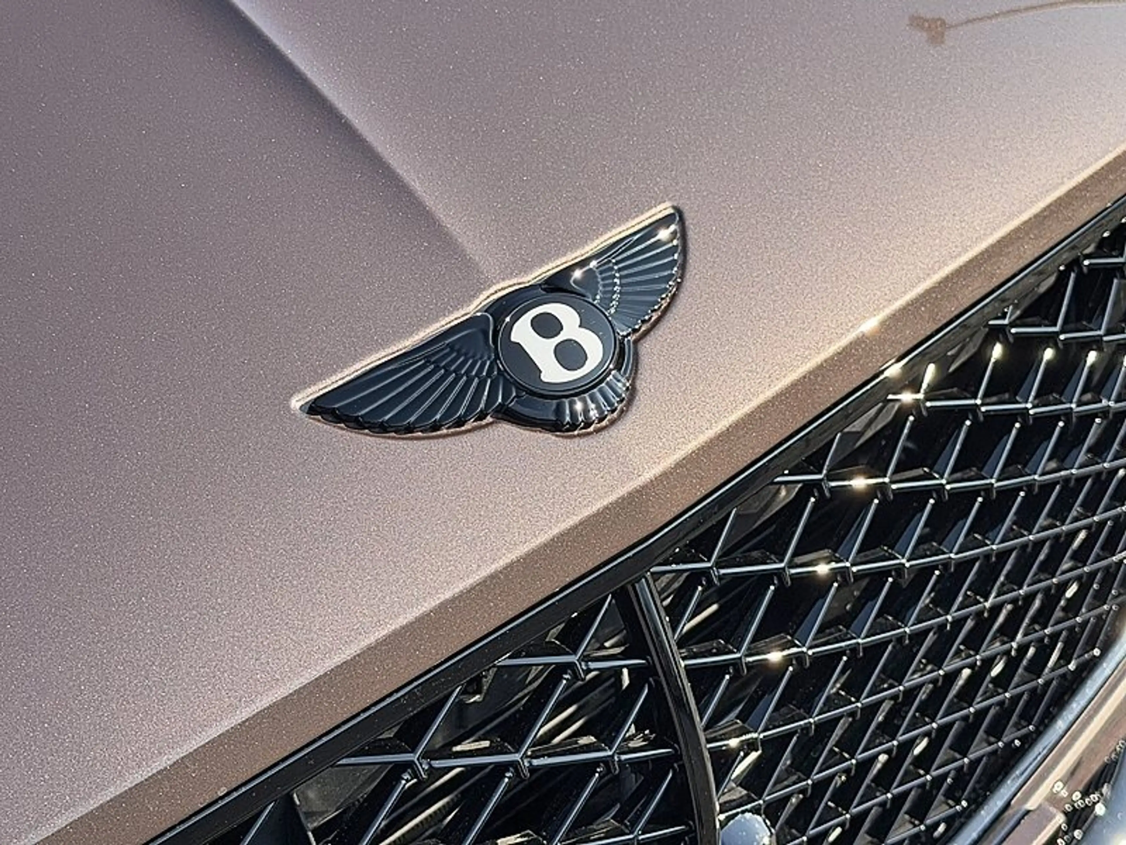 Bentley Continental GT S *Akrapovic*NAIM*Rotating* — photo 5