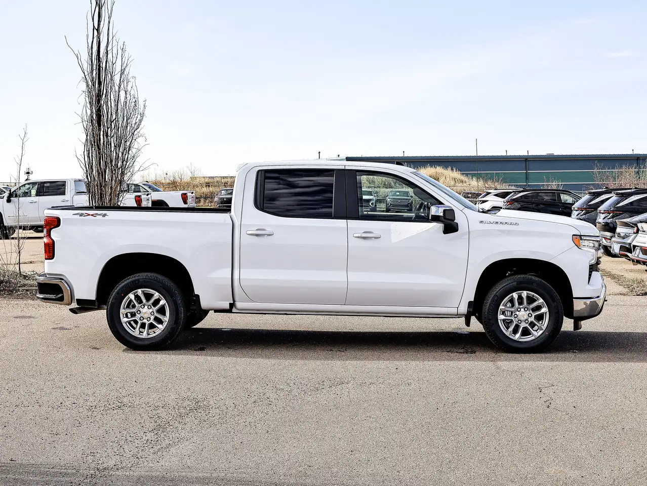 Chevrolet Silverado 1500 снимка Chevrolet Silverado 1500