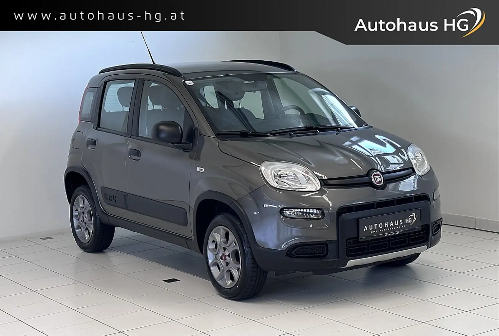 Fiat Panda TwinAir 85 4x4 Wild*1.BESITZ* Grigio - 1