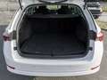 Skoda Octavia Combi 1.4 TSI iV DSG Style NAVI LED KEYLESS GJ-... Weiß - thumbnail 15