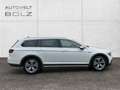 Volkswagen Passat Alltrack 4Motion 2.0 TDI HUD StandHZG AHK-klappbar Weiß - thumbnail 7