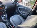 smart forFour forfour 70 1.0 Prime Rosso - thumbnail 13