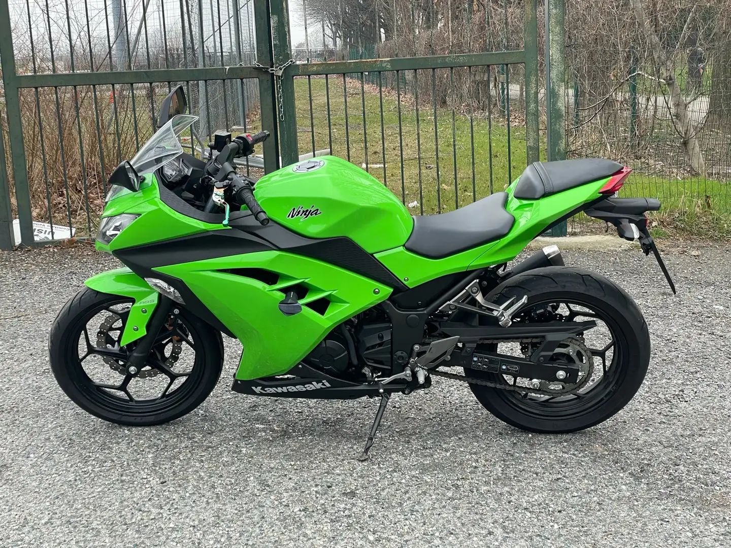 Kawasaki Ninja 300 Ninja 300 ABS Зелений - 2