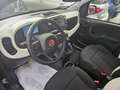 Fiat Panda Pandina 1.0 firefly hybrid s&s 70cv Vert - thumbnail 10