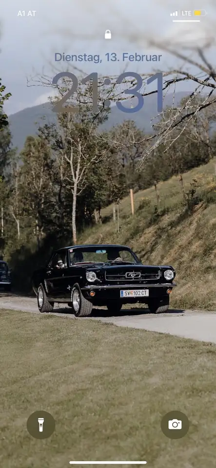 Ford Mustang 289 V8 4,7l, foto 4