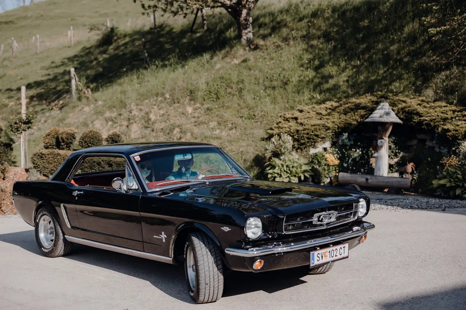 Ford Mustang 289 V8 4,7l - 1
