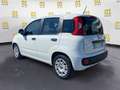 Fiat Panda 1.0 FireFly S&S Hybrid Easy Bianco - thumbnail 3