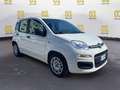 Fiat Panda 1.0 FireFly S&S Hybrid Easy Bianco - thumbnail 8