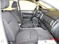 Ford Ranger 2.0L Ecoblue 170cv 4WD D/C XL 5 posti *PREZZO+IVA* Weiß - thumbnail 7