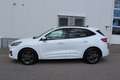 Ford Kuga 2,0 EcoBlue Hybrid ST-Line Aut. Weiß - thumbnail 4