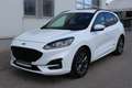 Ford Kuga 2,0 EcoBlue Hybrid ST-Line Aut. Weiß - thumbnail 1