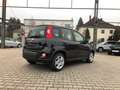 Fiat New Panda 1.0 Hybrid *5 Sitzer Klima Komfort* Чорний - thumbnail 3