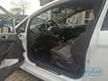 Ford Fiesta 1.6 EcoBoost ST Navi Ambiente Beleuchtung Keyless Beyaz - thumbnail 8