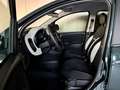 Fiat Panda 1.0 FireFly S&S Hybrid Pandina Cross Verde - thumbnail 6