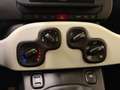 Fiat Panda 1.0 FireFly S&S Hybrid Pandina Cross Verde - thumbnail 13