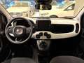 Fiat Panda 1.0 FireFly S&S Hybrid Pandina Cross Verde - thumbnail 8