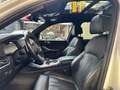 BMW X5 M50 d Weiß - thumbnail 10