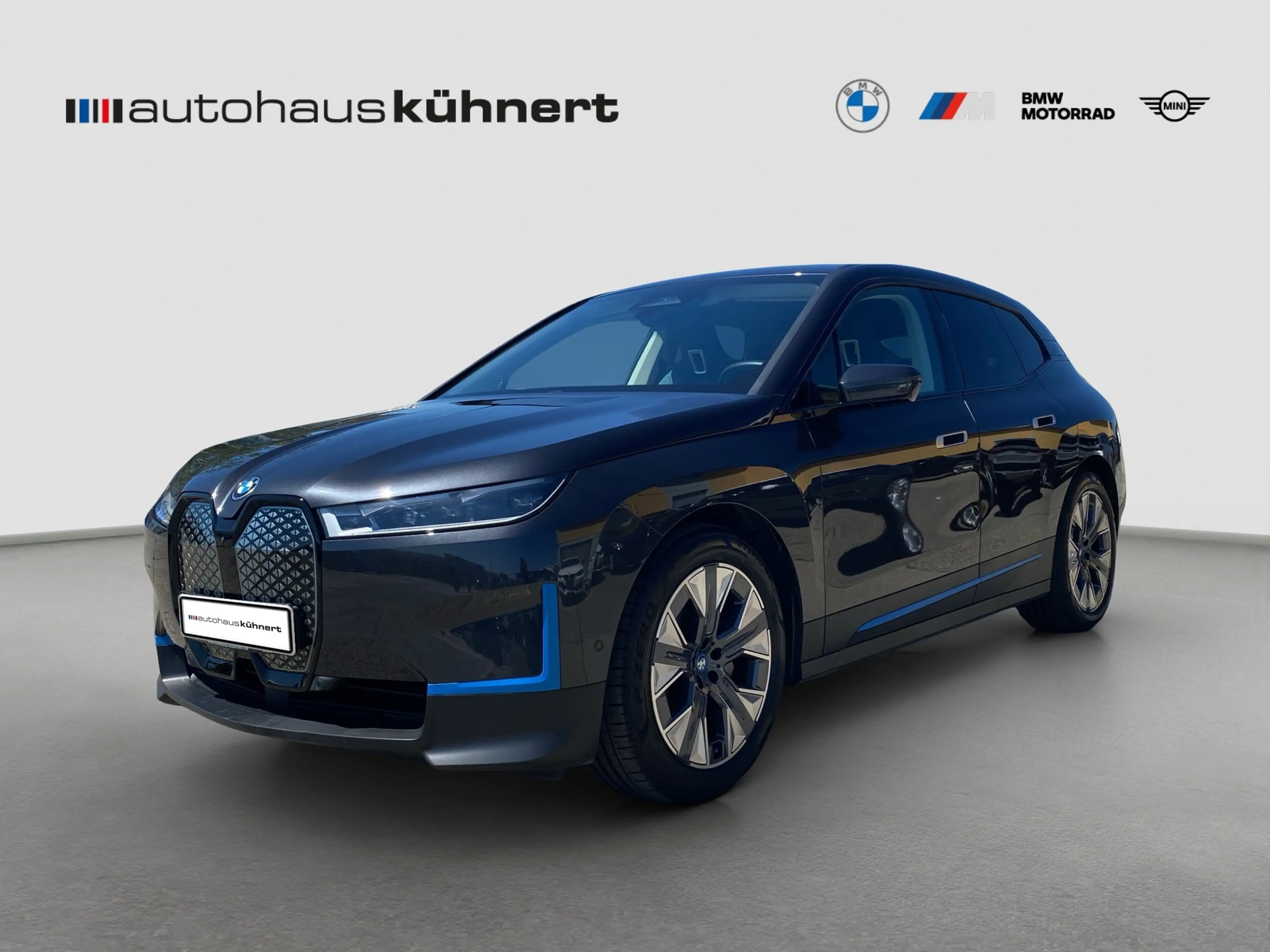BMW iX xDrive40 Laser SpurAss StHzg 360° AHK Navi — photo 2