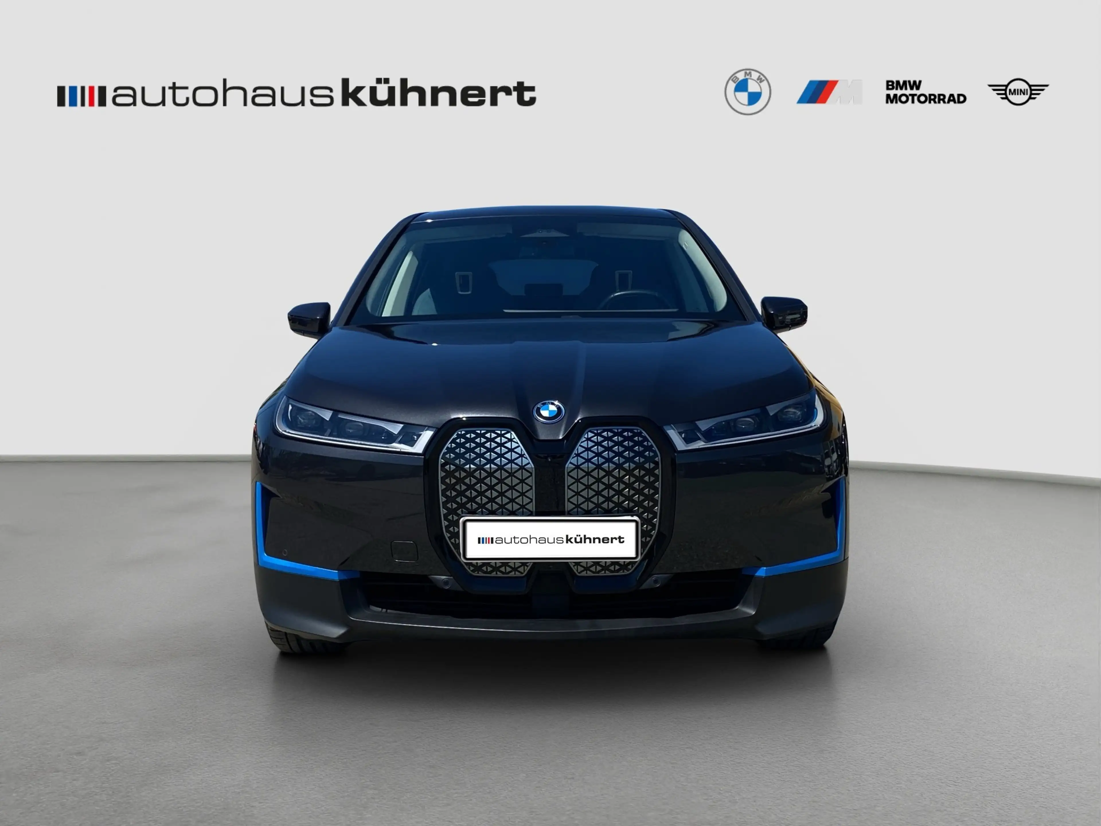 BMW iX xDrive40 Laser SpurAss StHzg 360° AHK Navi — photo 3
