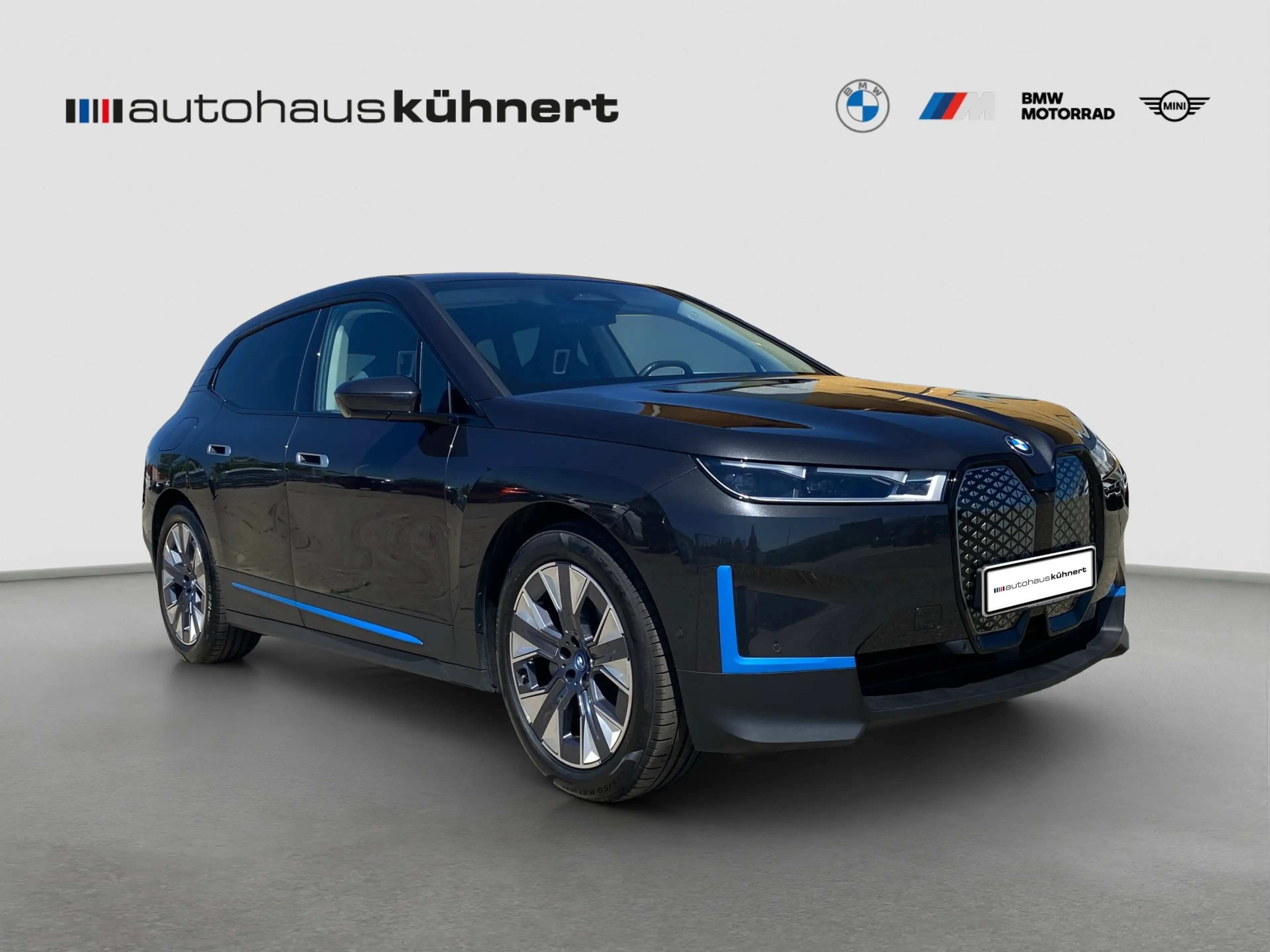 BMW iX xDrive40 Laser SpurAss StHzg 360° AHK Navi — photo 9