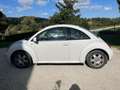 Volkswagen Maggiolino Bílá - thumbnail 2