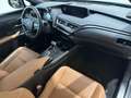 Lexus UX 250h 2.0 Hybrid AWD Privilege Line Grijs - thumbnail 13