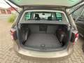 Volkswagen Golf Plus Team*PDC*AUTOMATIK*Shz.*TÜV*Allwetter* - thumbnail 8