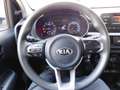 Kia Picanto 1.0 CVVT EconomyPlusLine Staat  in DE KRIM Alb - thumbnail 11