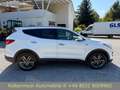 Hyundai SANTA FE Premium 4WD PANO|LEDER|NAVI|KAMERA| Blanc - thumbnail 5