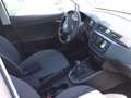 SEAT Arona 1.0 TSI 85kW (115CV) Eco Style Edition Blanco - thumbnail 6