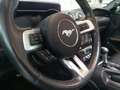 Ford Mustang 5.0 V8 GT Cabrio Ti-VCT V8 GT 5.0 TOP Grau - thumbnail 14