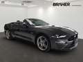 Ford Mustang 5.0 V8 GT Cabrio Ti-VCT V8 GT 5.0 TOP Grau - thumbnail 3