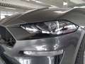 Ford Mustang 5.0 V8 GT Cabrio Ti-VCT V8 GT 5.0 TOP Grau - thumbnail 6