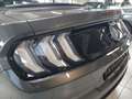 Ford Mustang 5.0 V8 GT Cabrio Ti-VCT V8 GT 5.0 TOP Gris - thumbnail 15