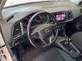 SEAT Ateca 1.0 TSI S&S Ecomotive Style Blanco - thumbnail 10