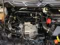 Ford EcoSport 1.0 EcoBoost Titanium 125 Blanco - thumbnail 23