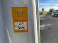 Opel Movano Bus 9 posti L2H2 Wit - thumbnail 16