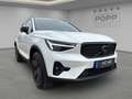 Volvo XC40 B3 Plus Black Edition 20" 360° ACC FHZ H&K Wit - thumbnail 16