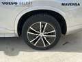Volvo XC90 B5 Business Plus 7pl. AWD Aut. Plateado - thumbnail 12
