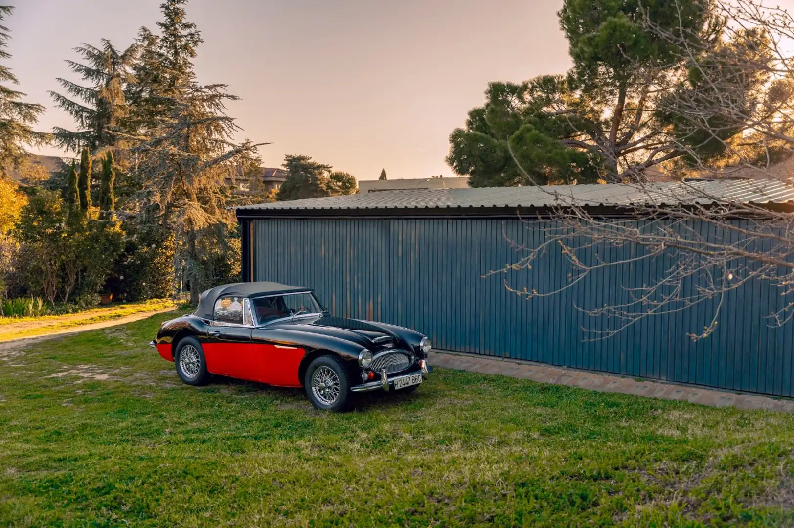 Austin-Healey 3000 MK3 (BJ8) Negro - 2
