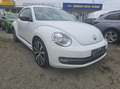 Volkswagen Beetle Sport Weiß - thumbnail 2