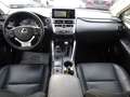 Lexus NX 300 Hybrid 4WD Luxury White - thumbnail 12